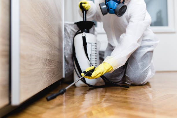 Pest Prevention Services in Purdy, WA