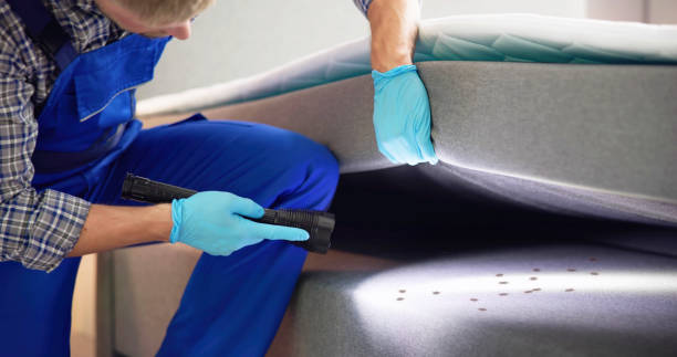 Best Affordable Pest Control Services  in Purdy, WA