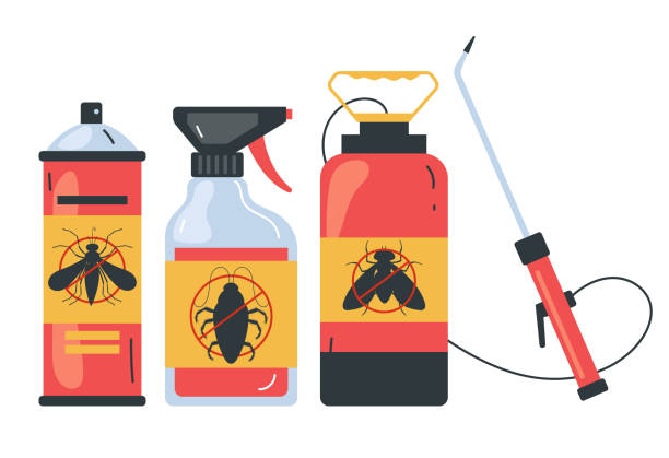 Best Wasp Removal Services  in Purdy, WA