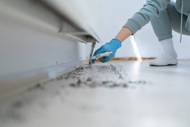 Wildlife Control Services in Purdy, WA